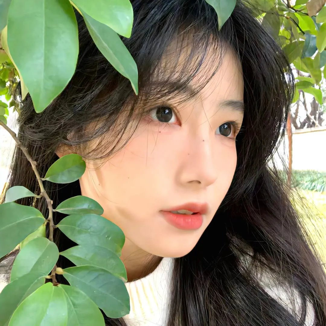 往南走